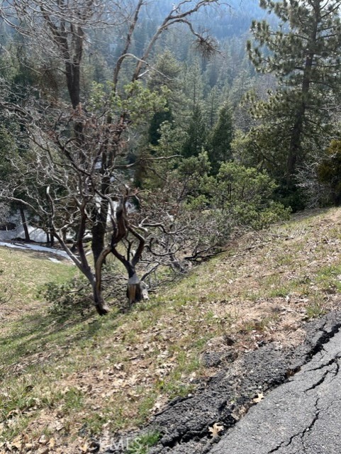 818 Berne, Crestline, CA 92391 — photo 1