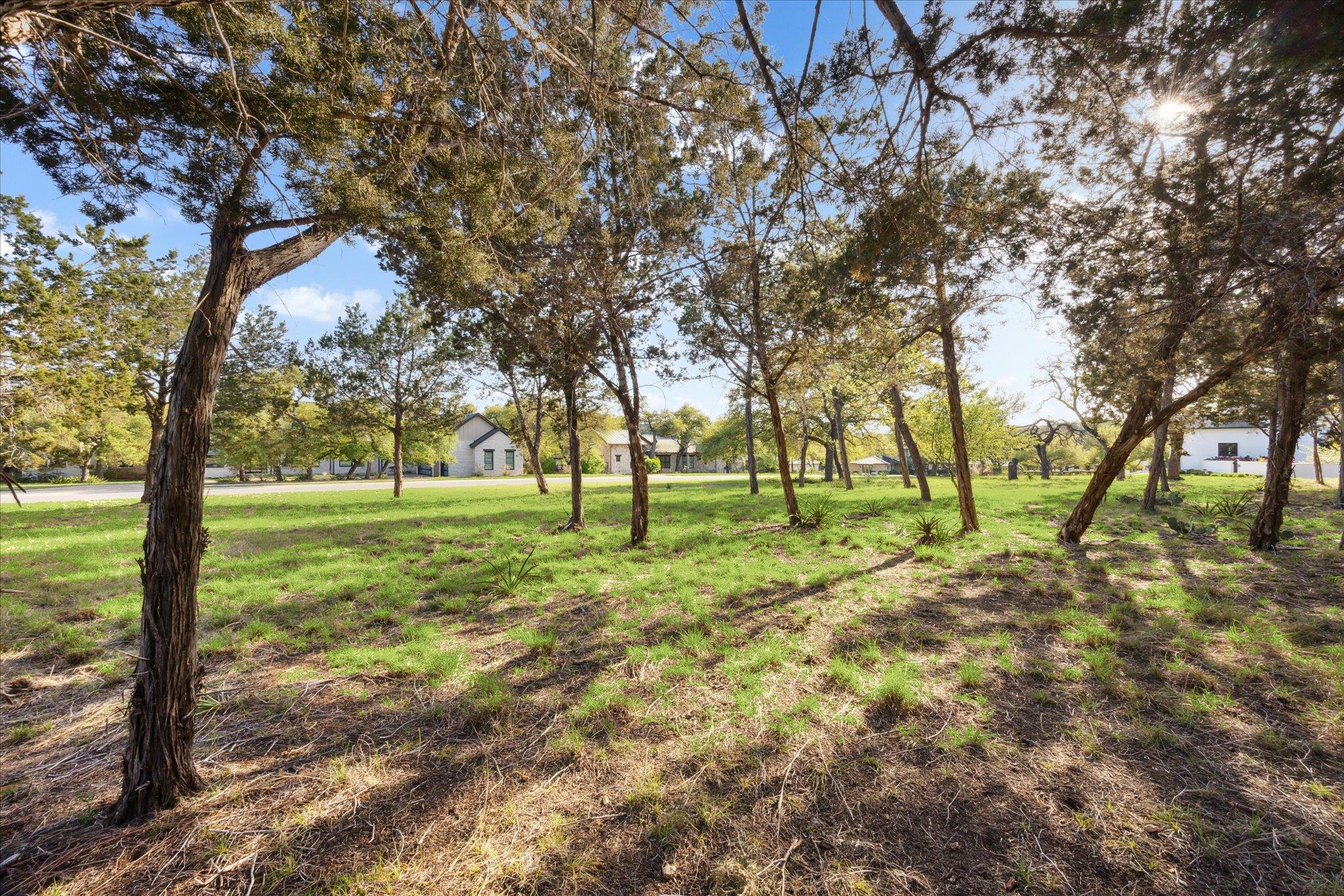 274  Waters Edge Cv, Dripping Springs, TX 78620 — photo 1