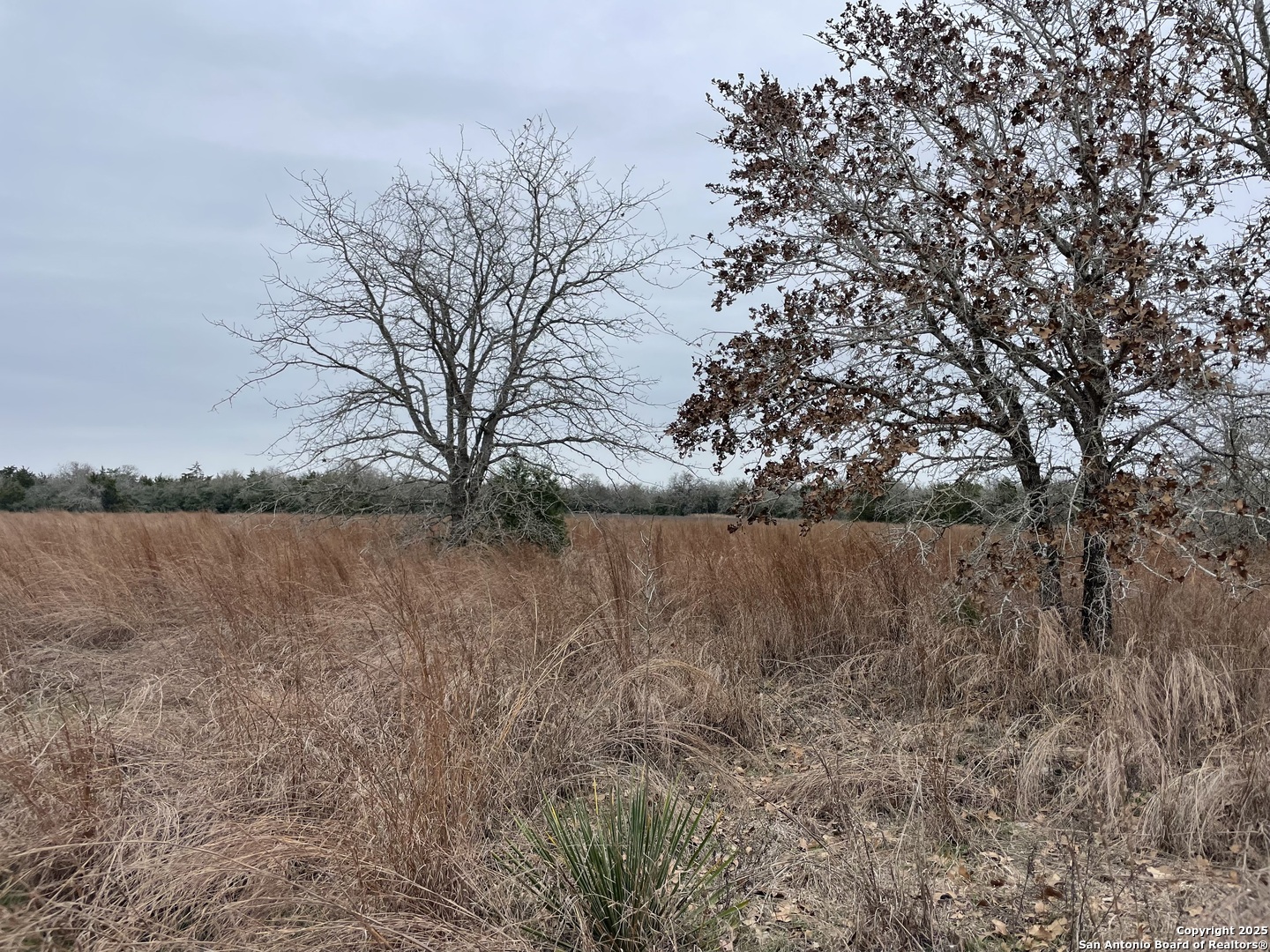 00 Mule Creek Rd, Harwood, TX 78632 — photo 1