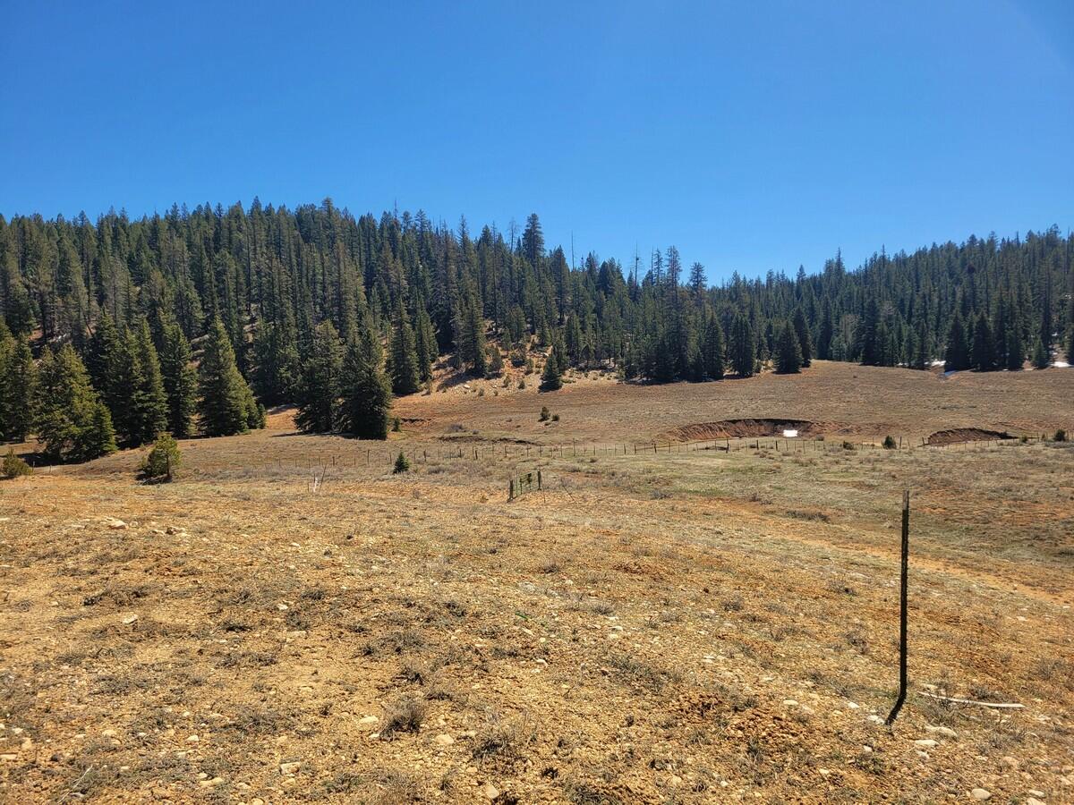 520 N Grassy Trail, Duck Creek Village, UT 84762 — photo 1