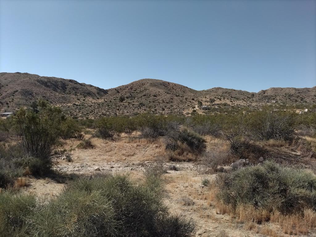 Canyon Rd Canyon Road, Morongo Valley, CA 92256 — photo 1
