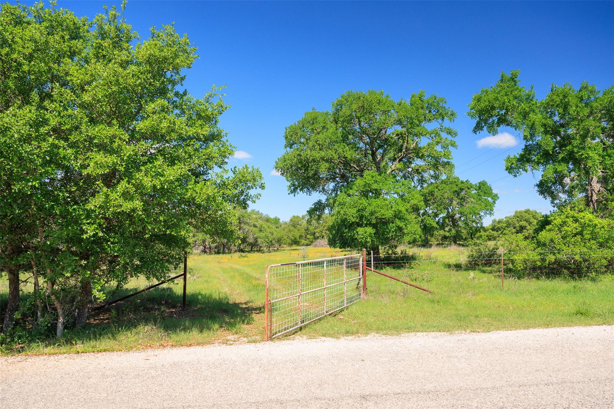 480  Blue Creek Dr, Dripping Springs, TX 78620 — photo 1