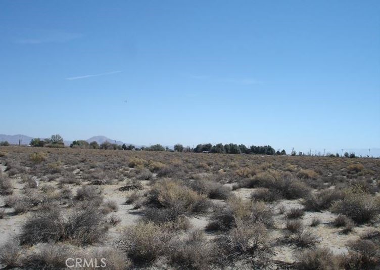 0 Bear Valley / Duncan Road