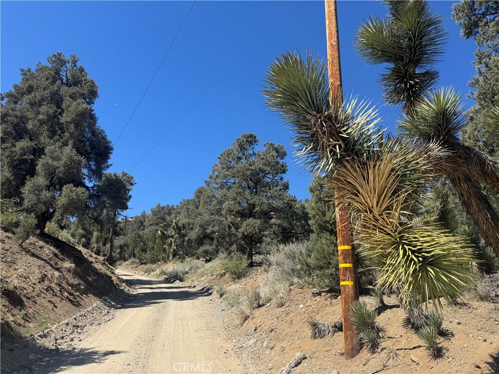 41112 Jack Rabbit Road, Pinon Hills, CA 92372 — photo 1