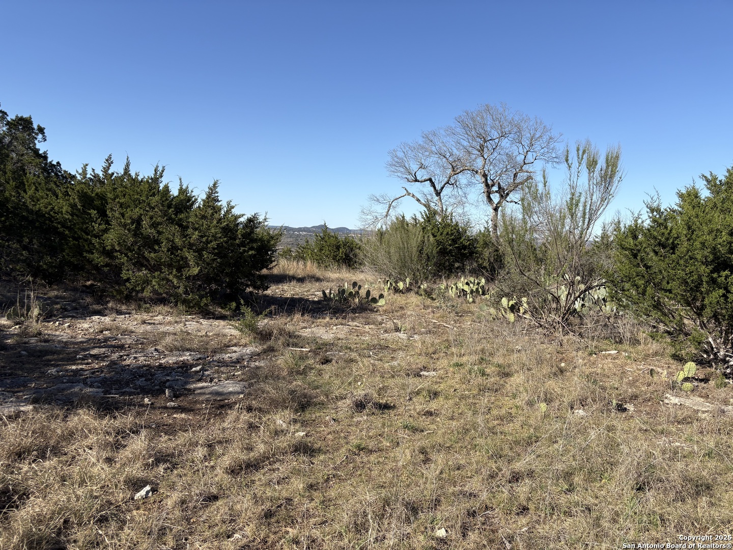 LOT 209 Palomino Springs, Bandera, TX 78003 — photo 1