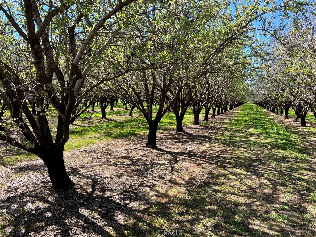 0 Cana Highway, Chico, CA 95973 — photo 1