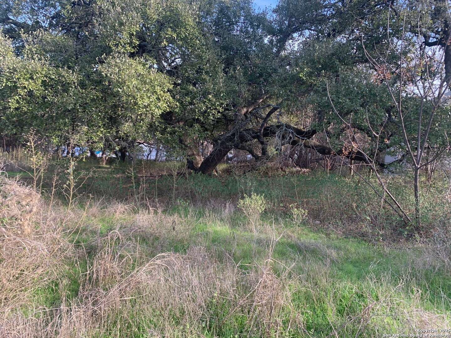 2675 Country Ledge, New Braunfels, TX 78132 — photo 1