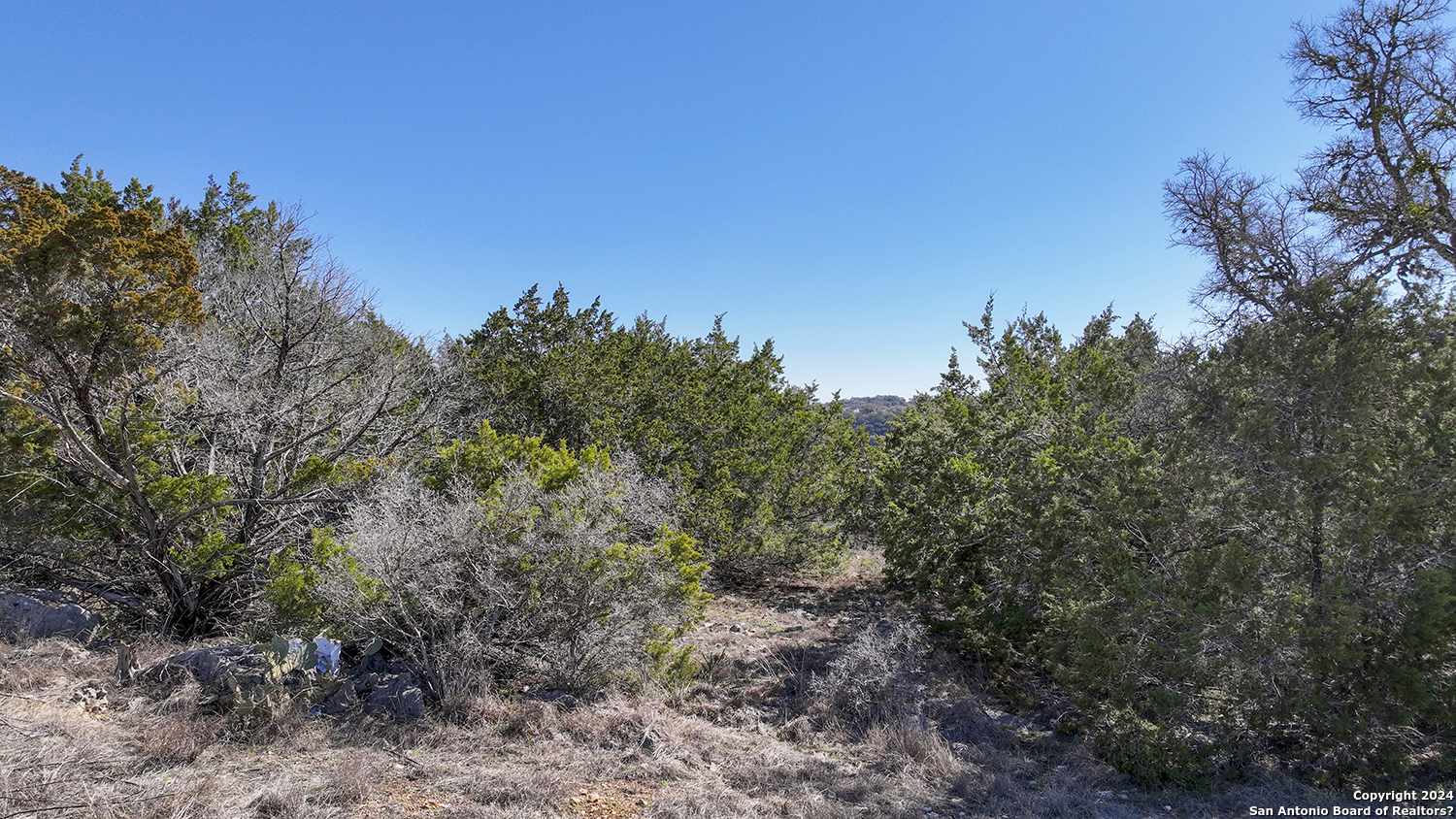 149 ALONDRA LN, Spring Branch, TX 78070 — photo 1