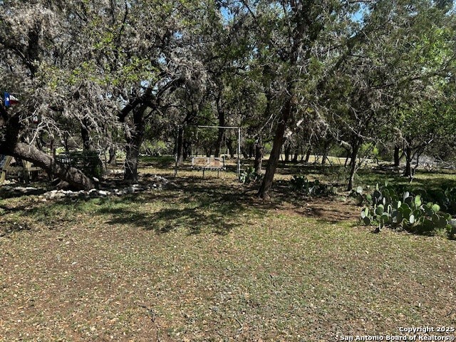 698 Kahn, Rio Frio, TX 78879 — photo 1