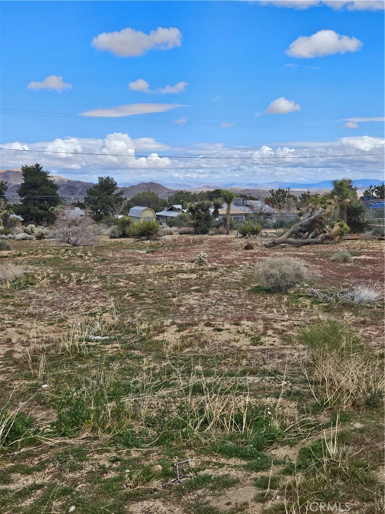 60374 La Mirada Trail, Joshua Tree, CA 92252 — photo 1