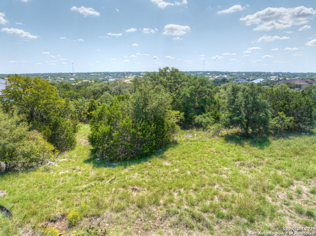 1020 Riesling, New Braunfels, TX 78132 — photo 1