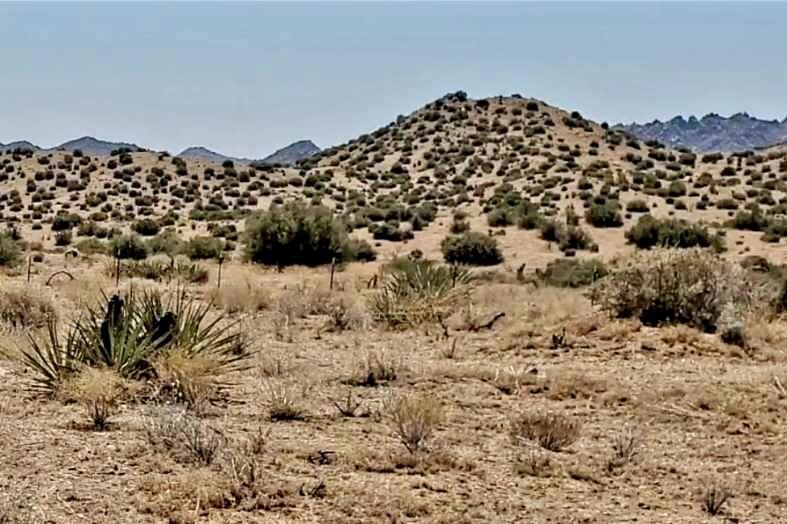 0 Trails End Ox Yoke Pass, Pioneertown, CA 92268 — photo 1
