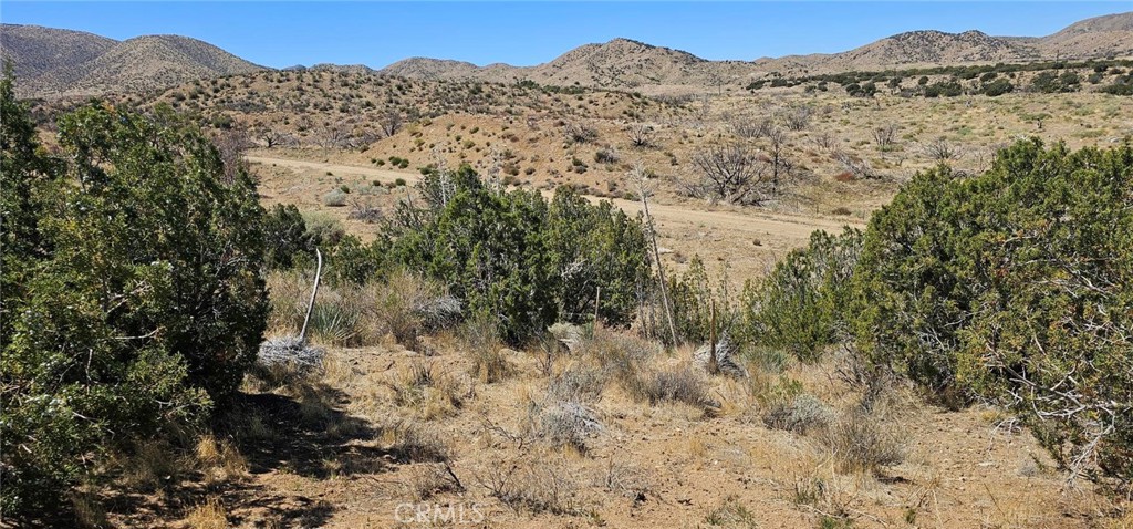 0 98th Street E, Juniper Hills, CA 93543 — photo 1