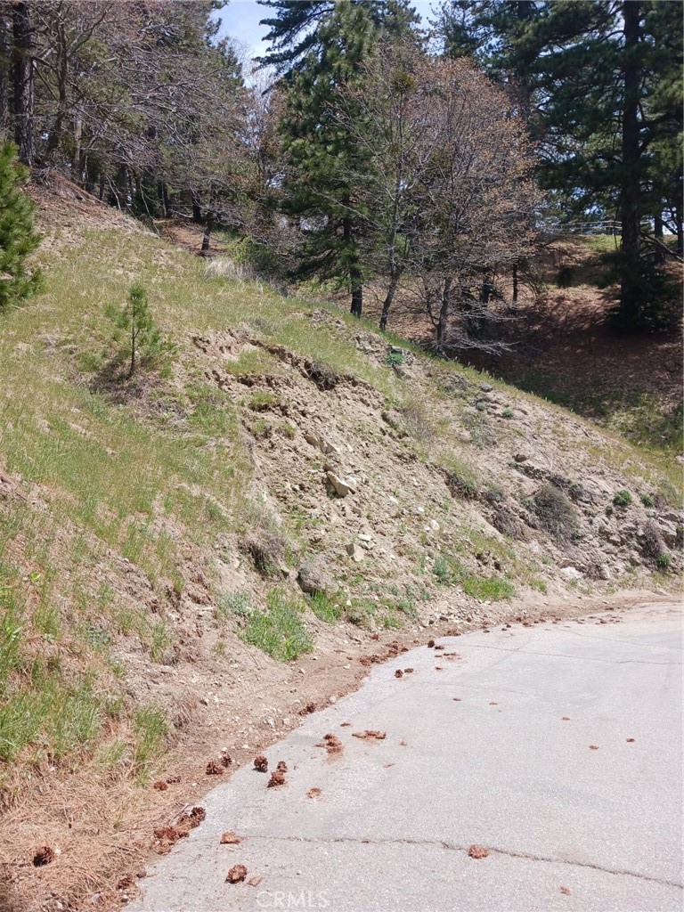 21858 Fern Canyon Road, Cedarpines Park, CA 92322 — photo 1