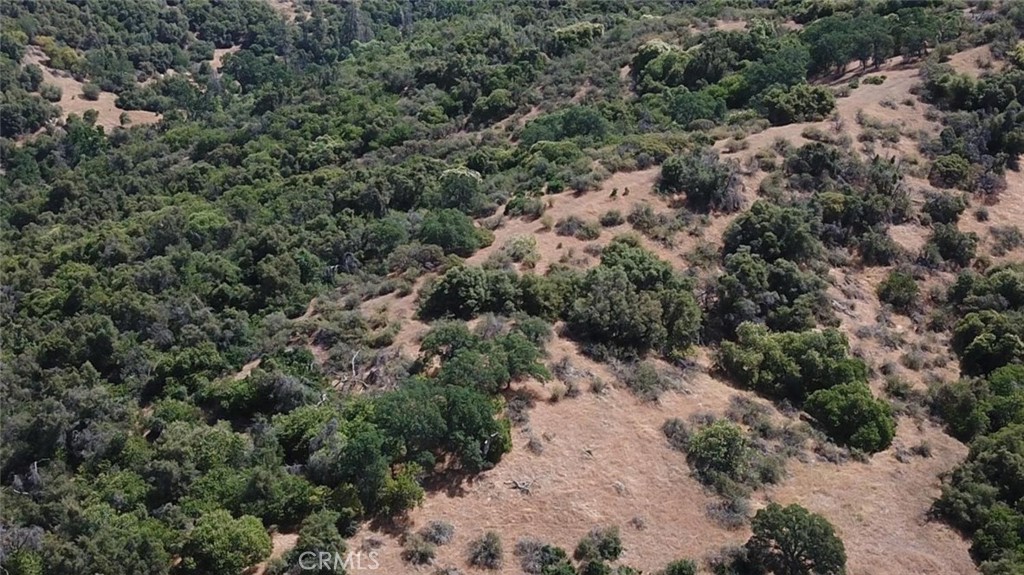 8 Acres, Miramonte, CA 93641 — photo 1