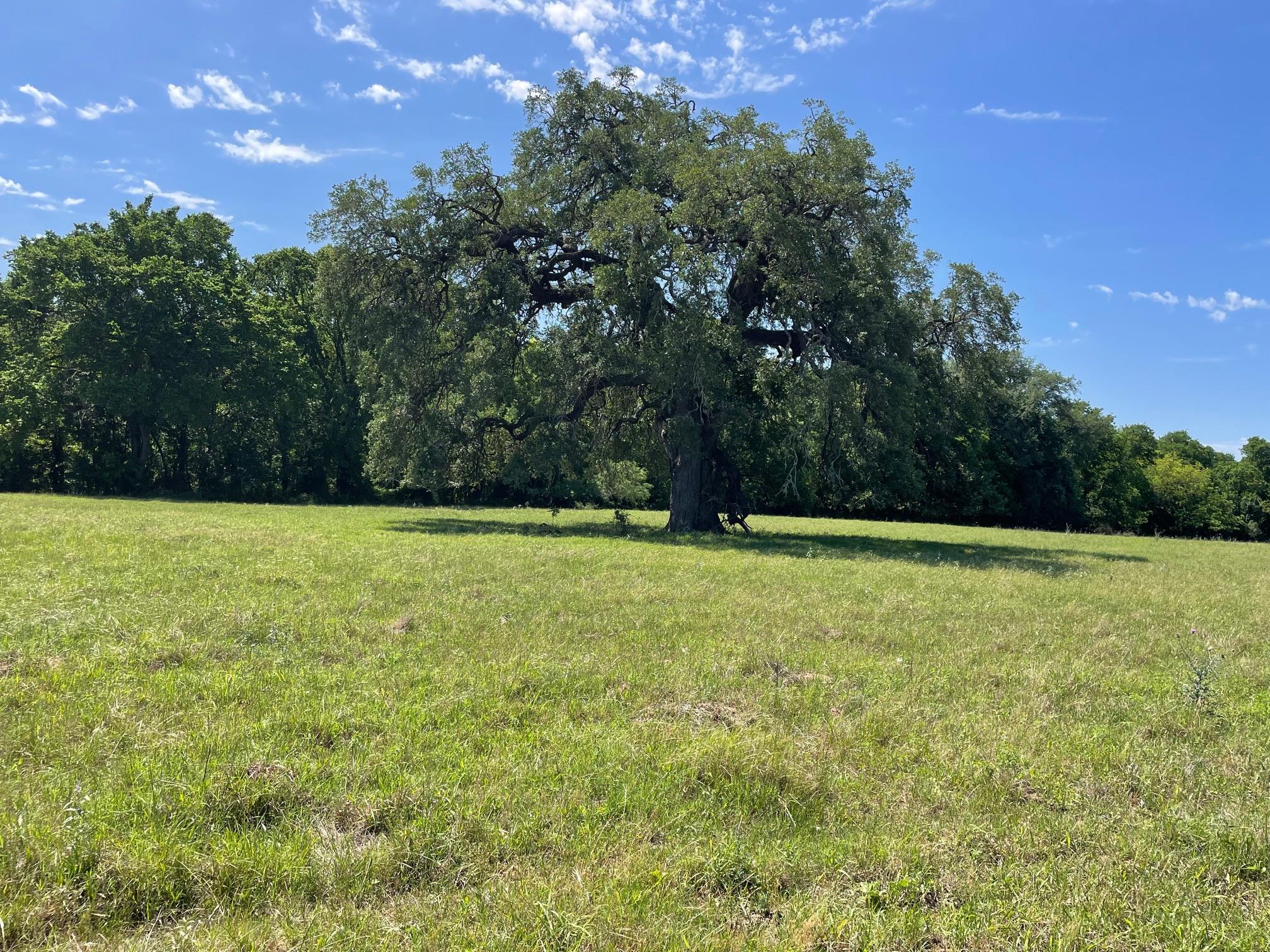 TBD  144.45 acres None