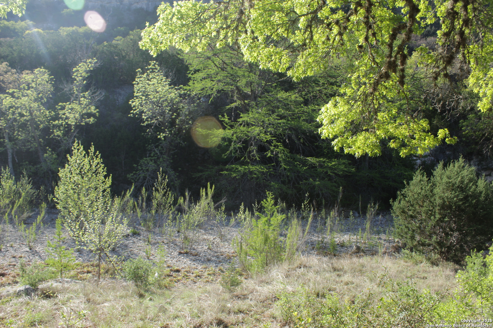 1976 cedar creek, Leakey, TX 78873 — photo 1