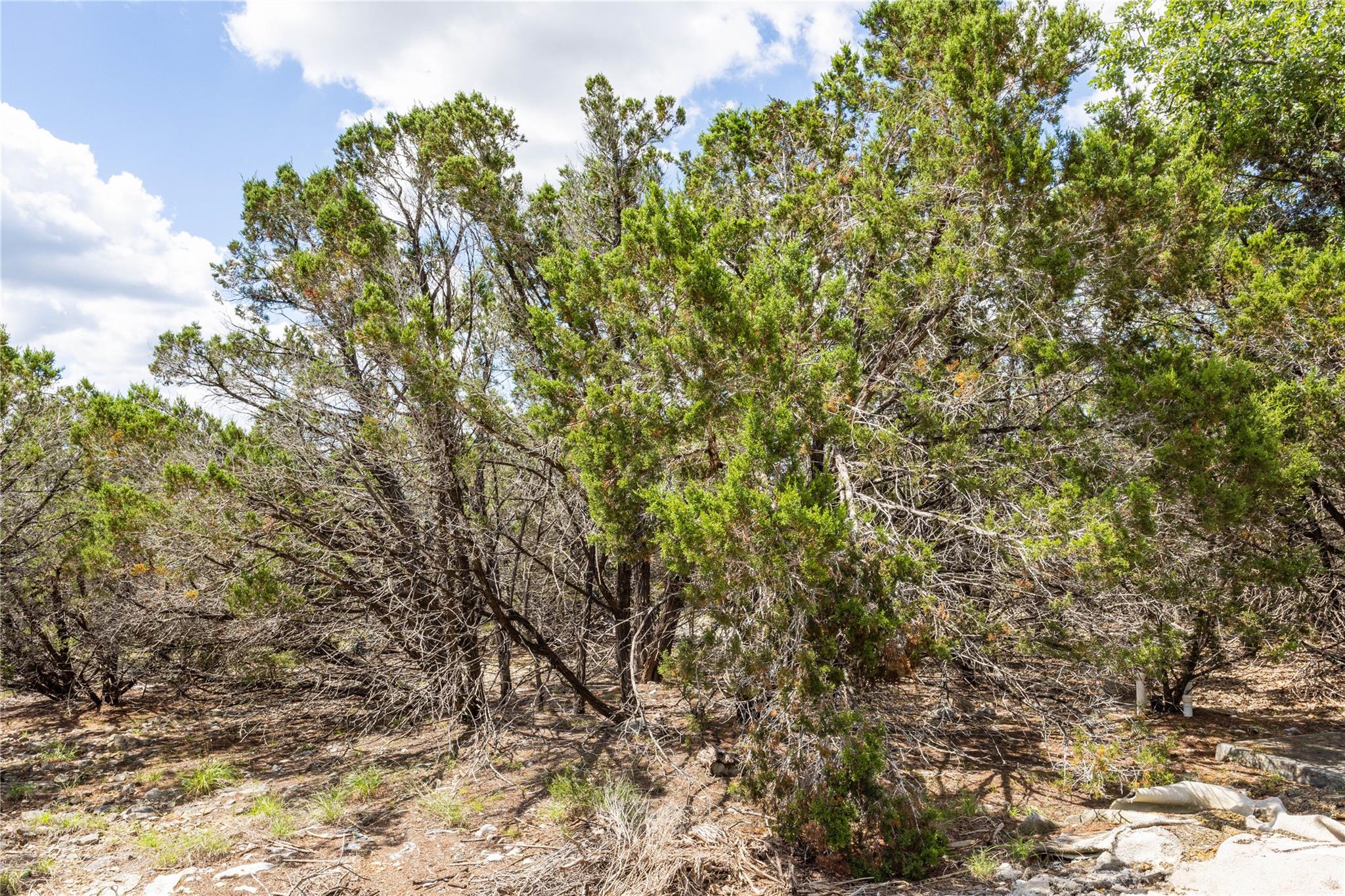 27 Sitting Bull, Wimberley, TX 78676 — photo 1