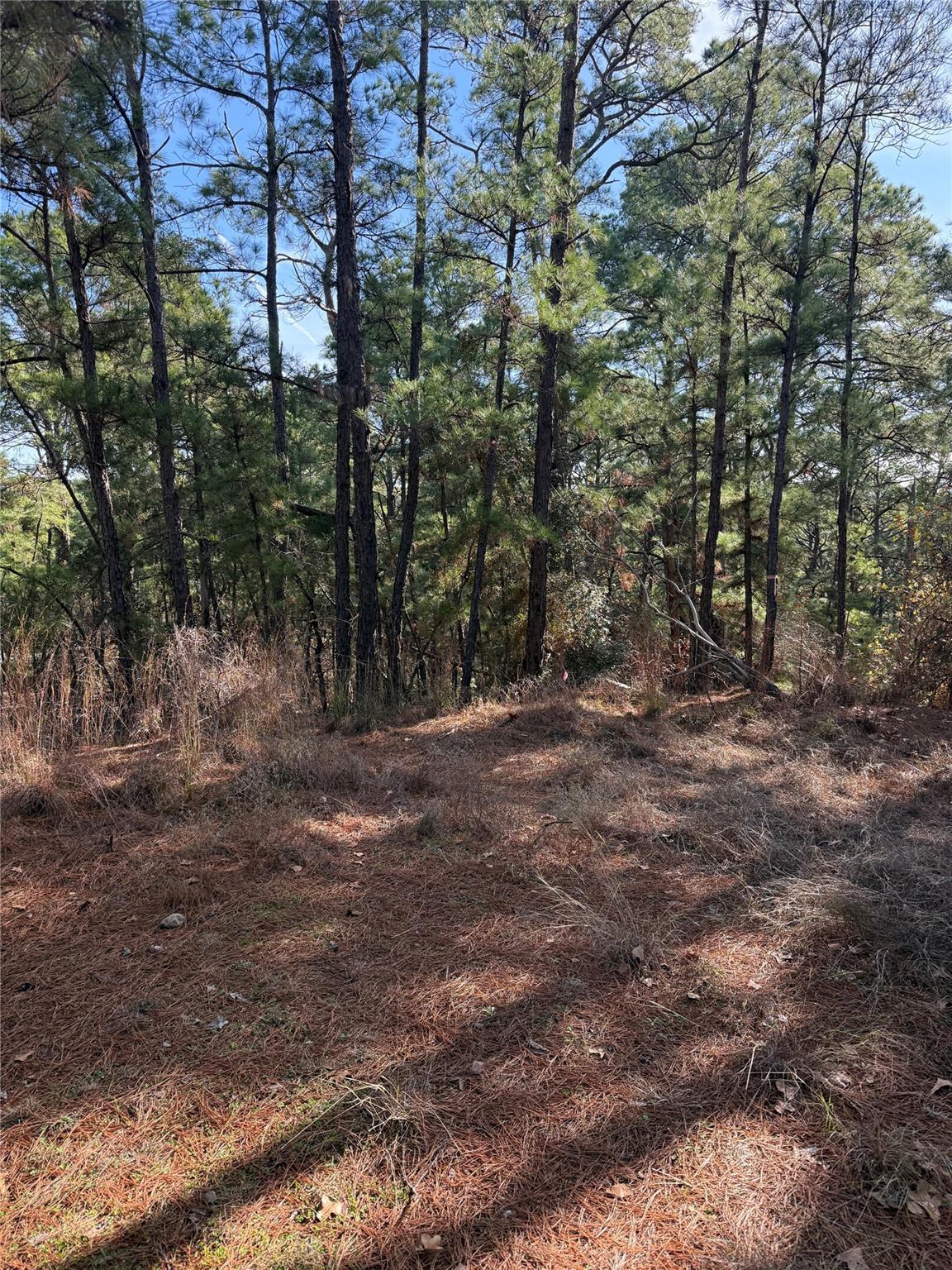 106 Llio, Bastrop, TX 78602 — photo 1