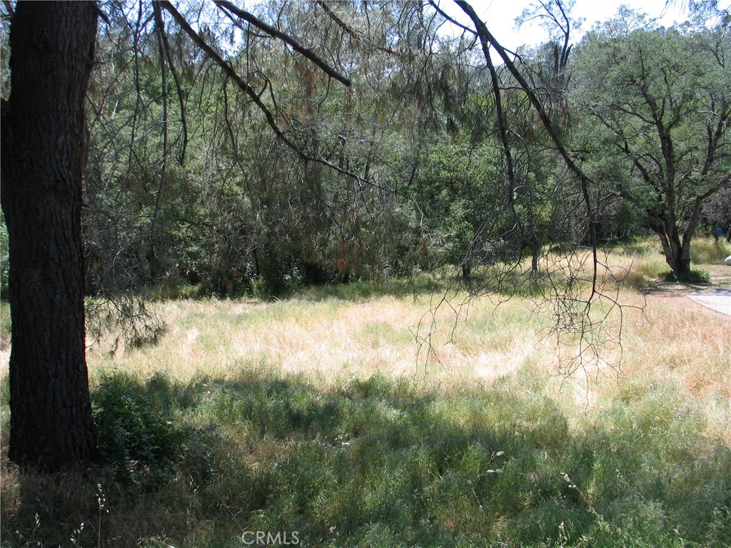 211 Lemon Hill Drive, Oroville, CA 95966 — photo 1