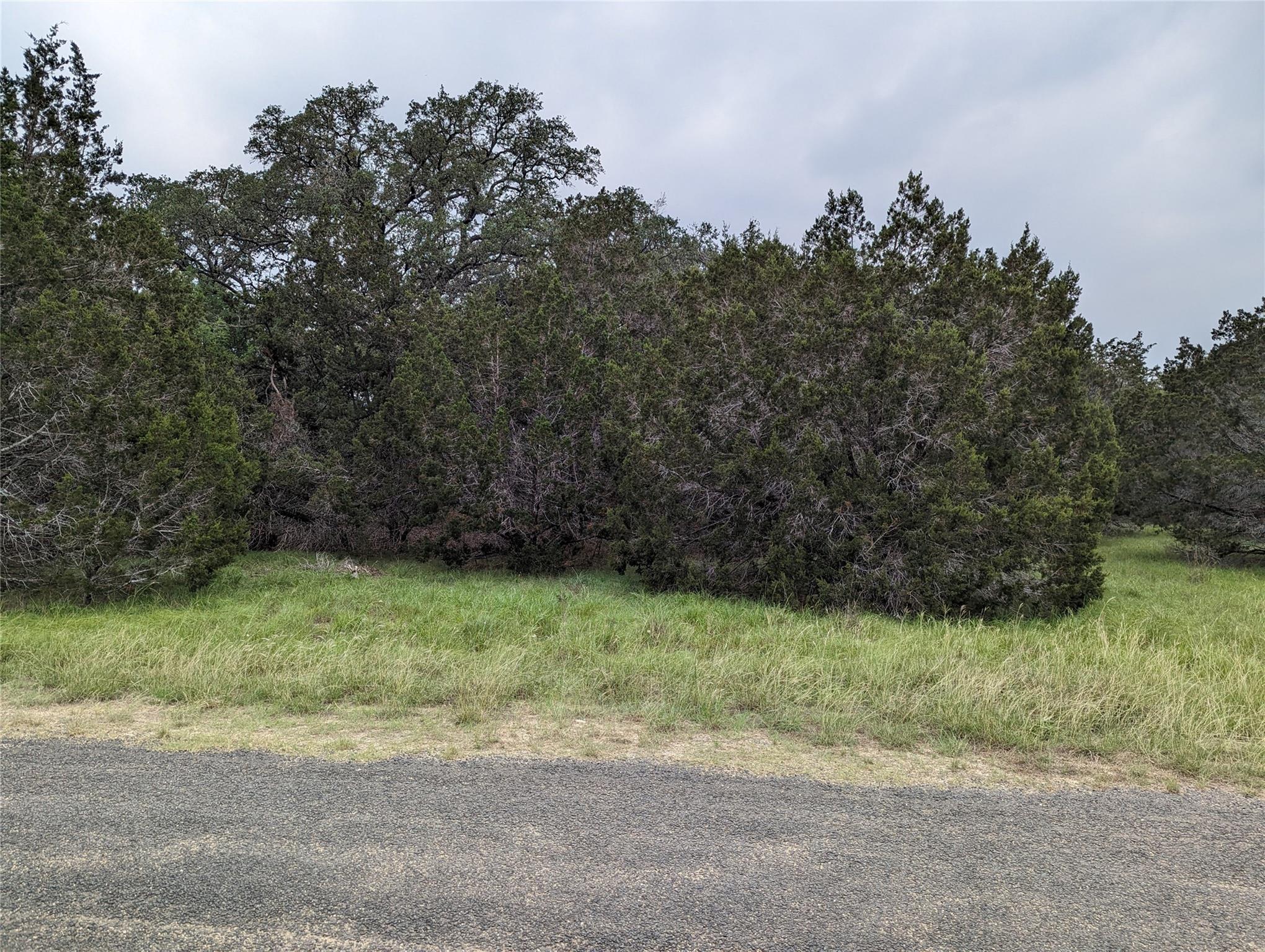 73 Valley Spring, Wimberley, TX 78676 — photo 1