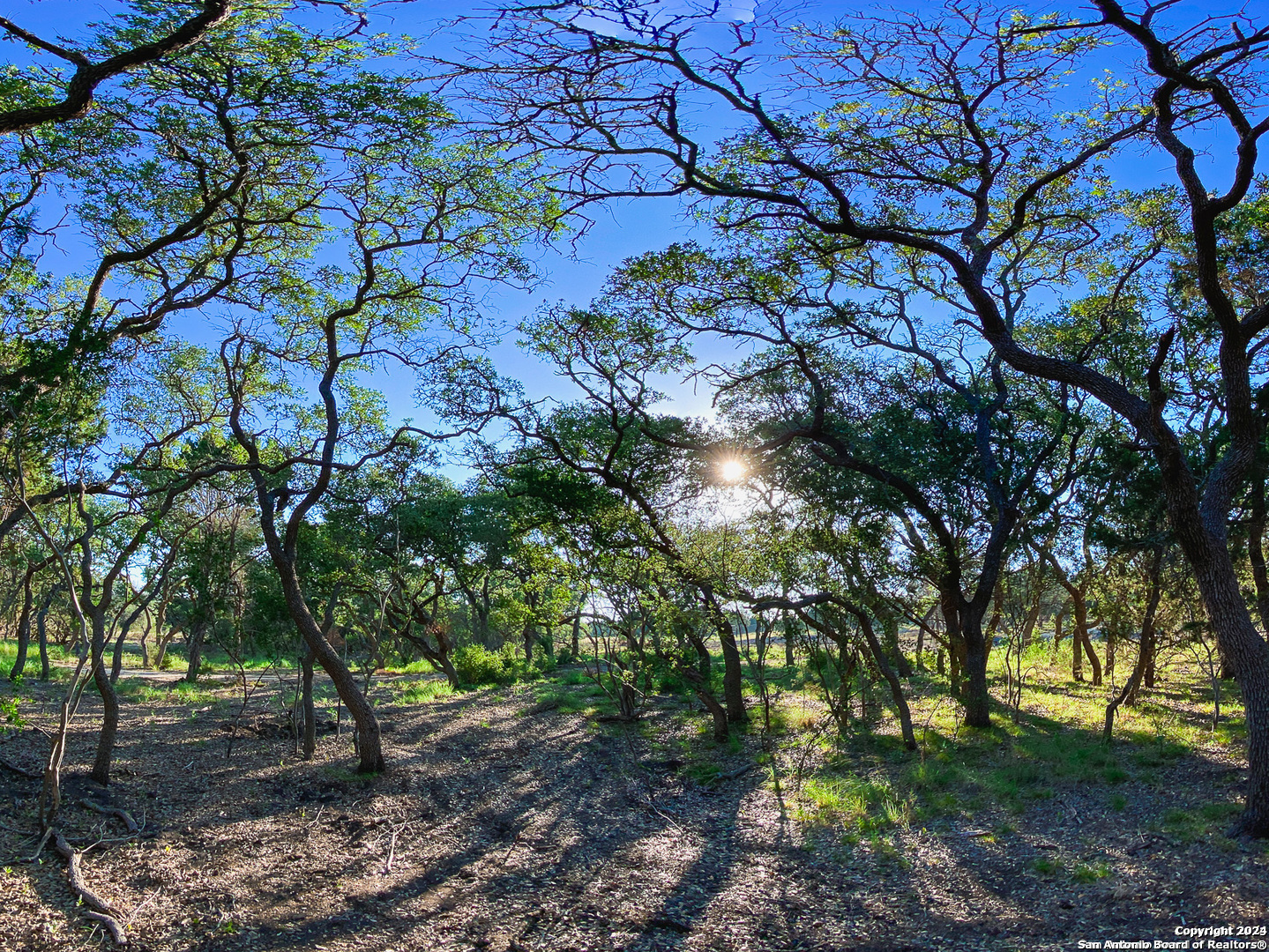 LOT 87 Creekside at Camp Verde, Center Point, TX 78010 — photo 1