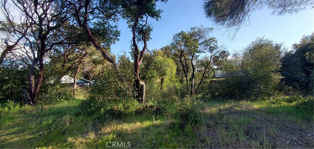 13577 Sonoma Avenue, Clearlake, CA 95422 — photo 1