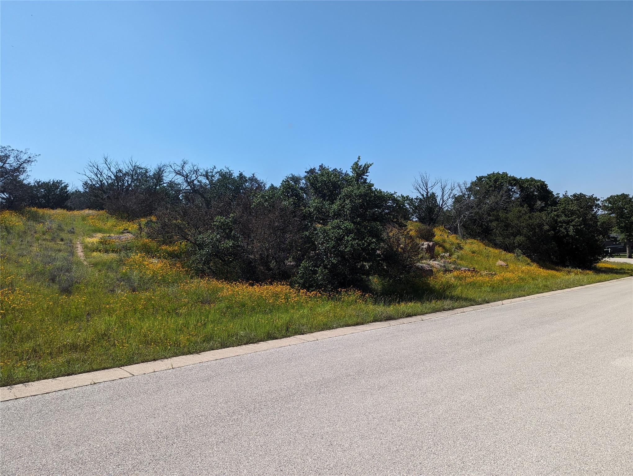 79 Peninsula, Burnet, TX 78611 — photo 1