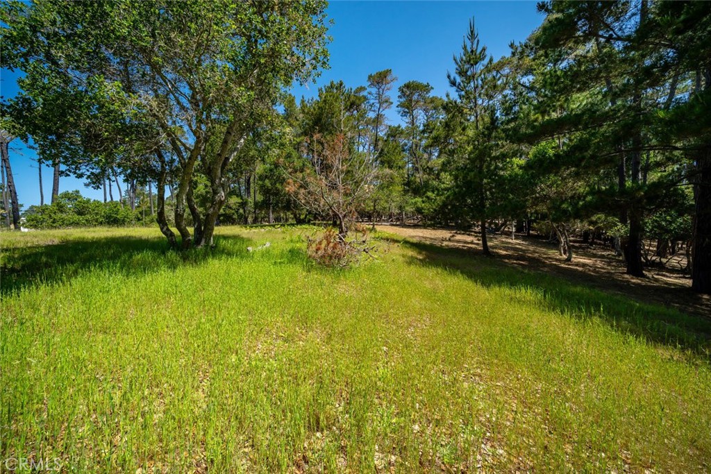 6475 Kathryn Drive, Cambria, CA 93428 — photo 1