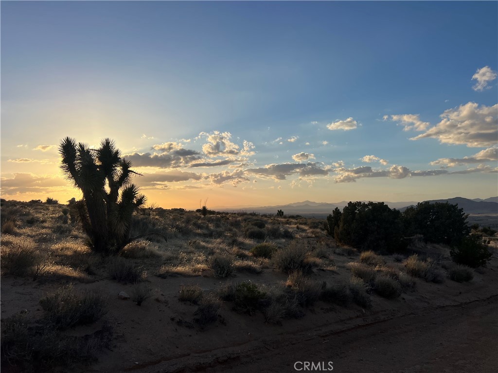 3 Ocotillo, Apple Valley, CA 92308 — photo 1