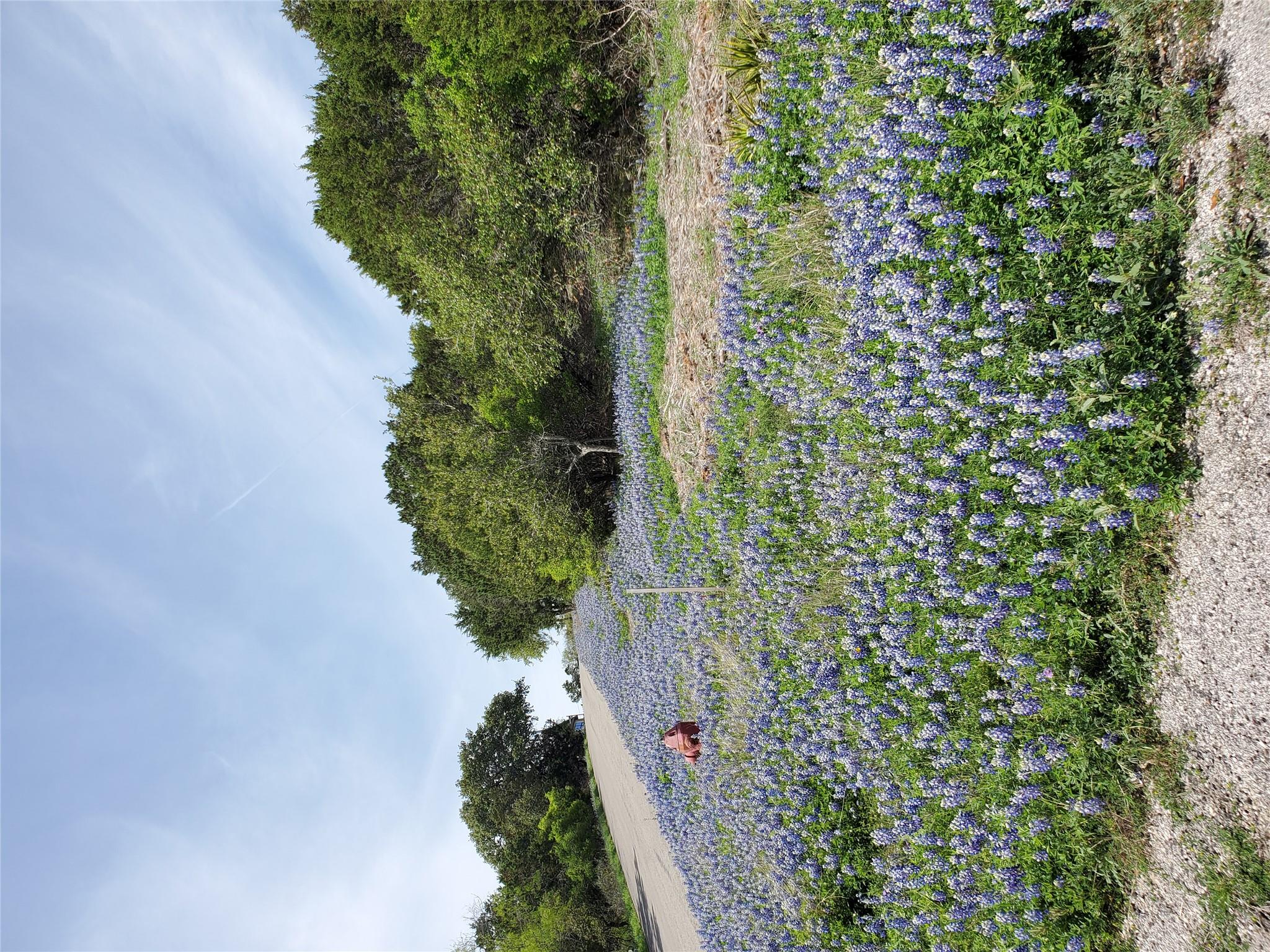 000 Dew Drop, Horseshoe Bay, TX 78657 — photo 1