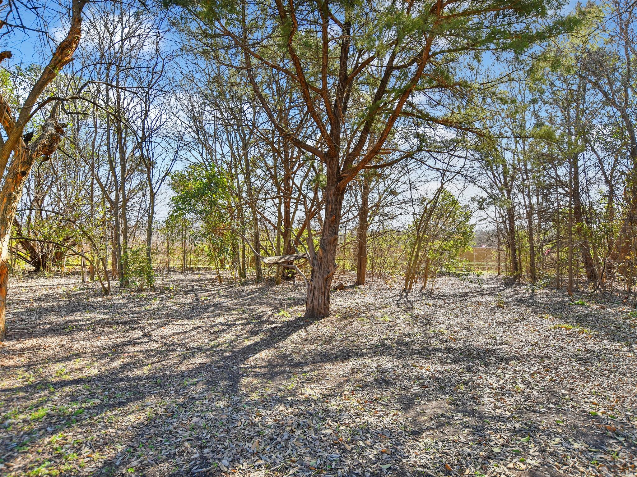 000  Lott Ave, Austin, TX 78721 — photo 1