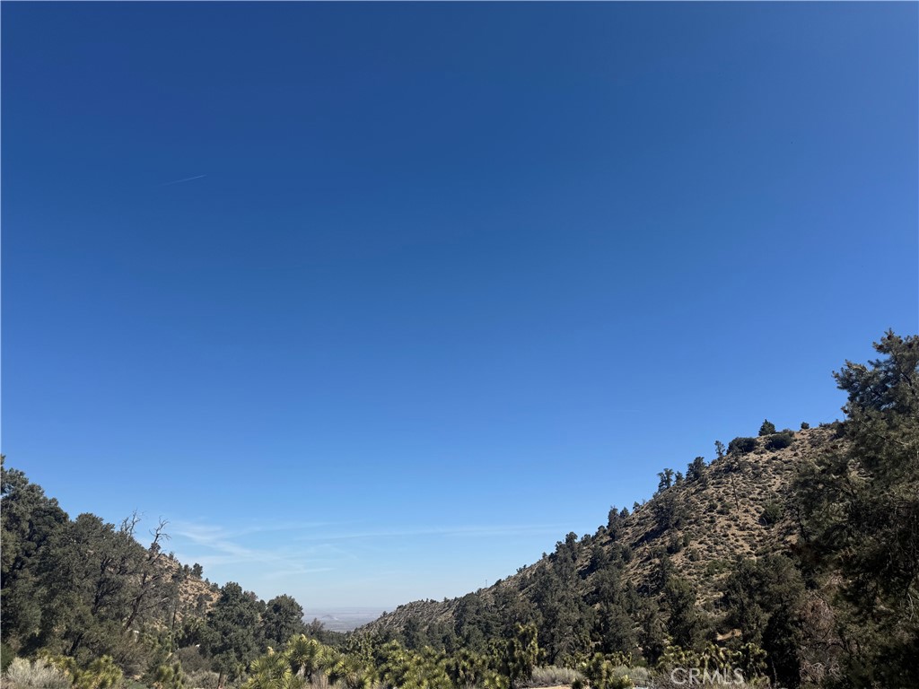 40124 Scenic Creek, Pinon Hills, CA 92372 — photo 1