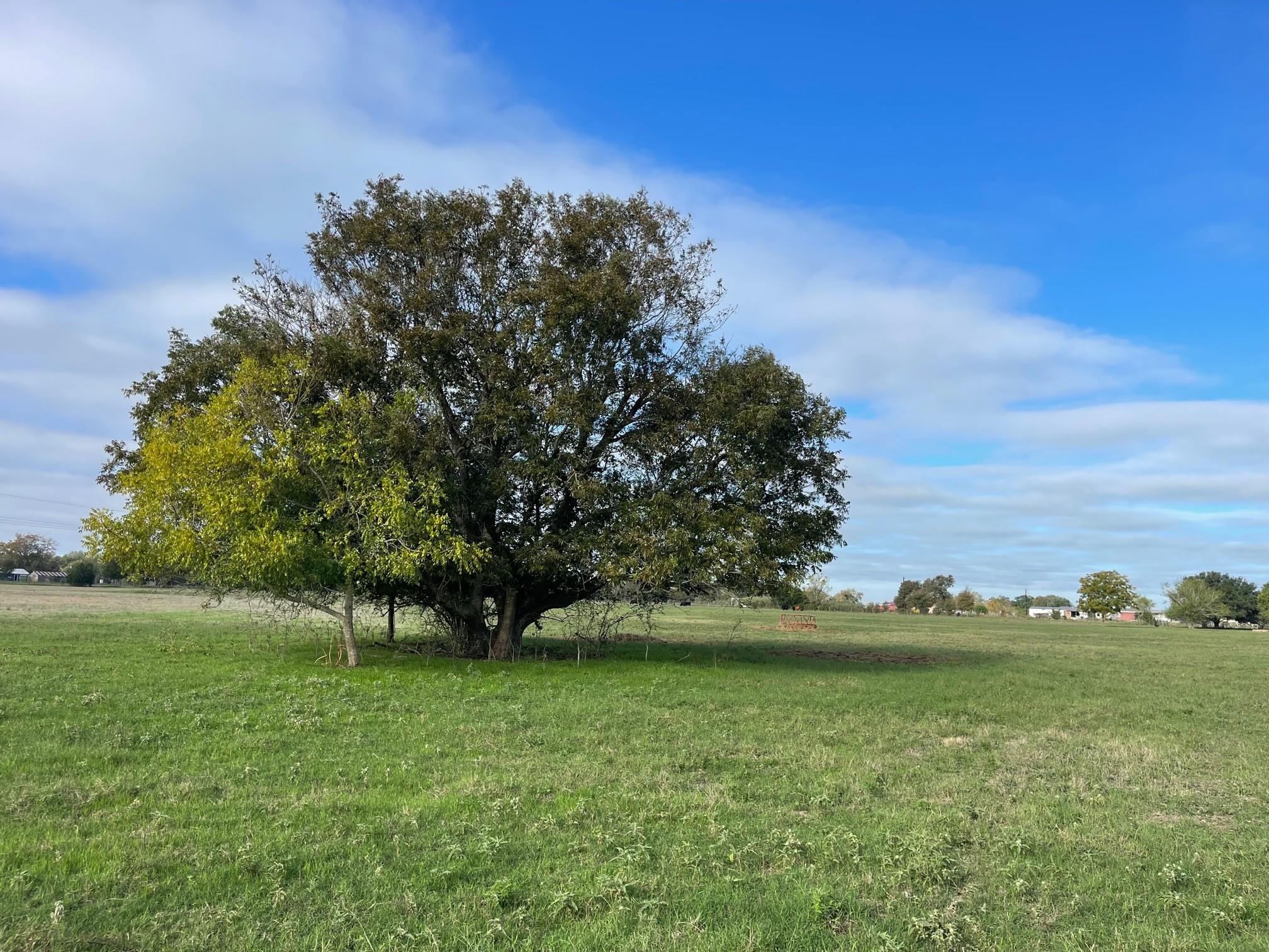 741  Muzny Ln, La Grange, TX 78945 — photo 1
