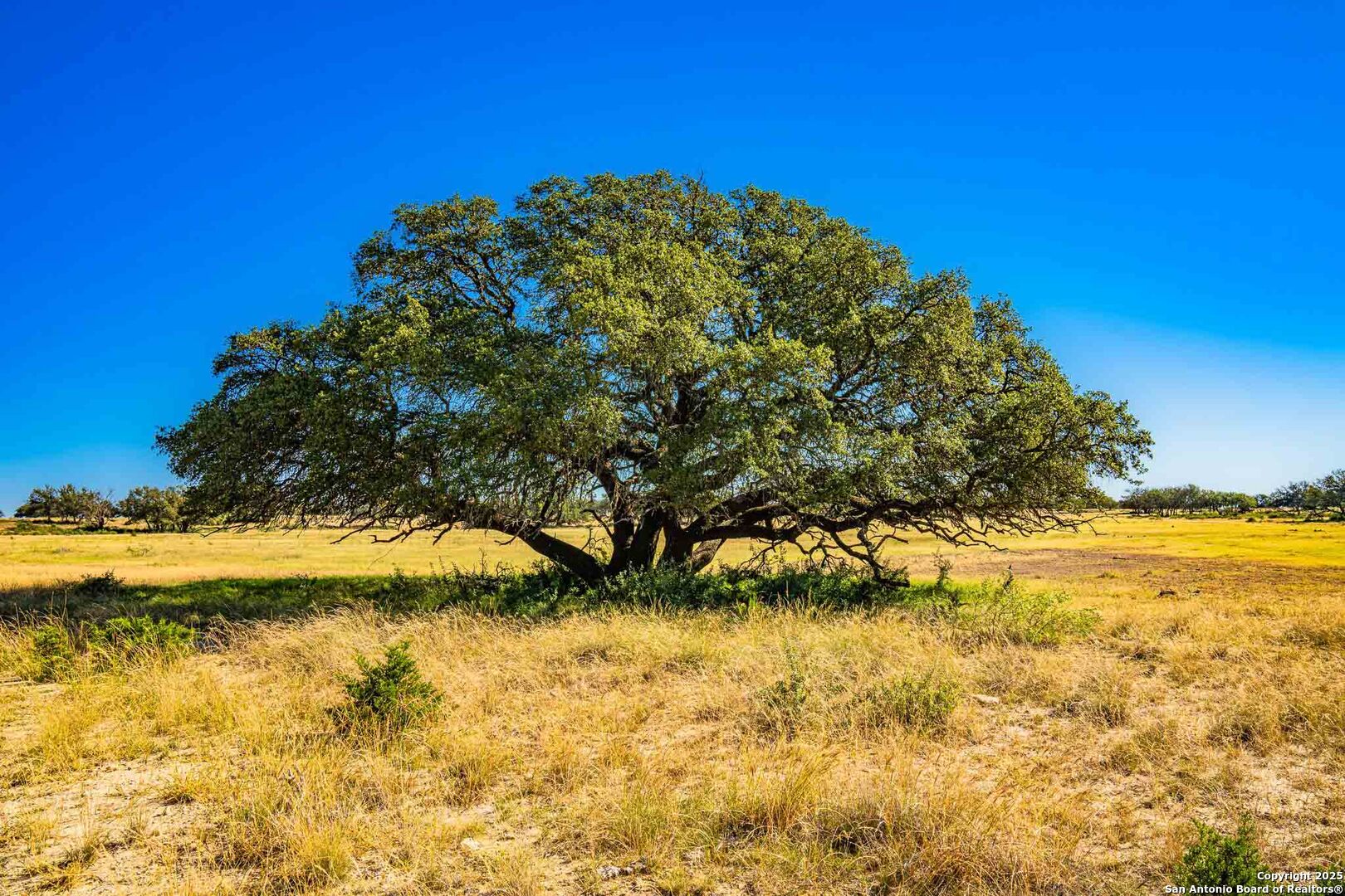 8300 SCR 314, Sonora, TX 76950 — photo 1