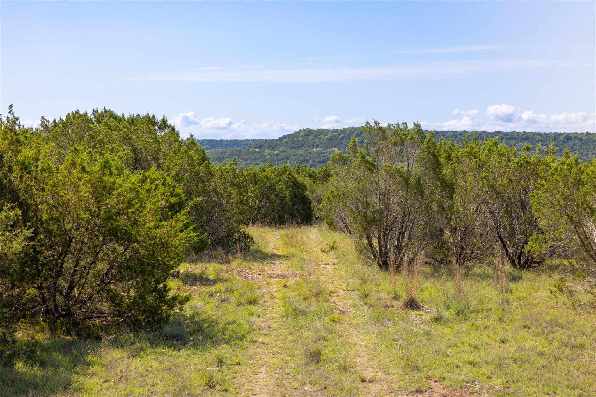 000  CR 2773 None, Lometa, TX 76853 — photo 1