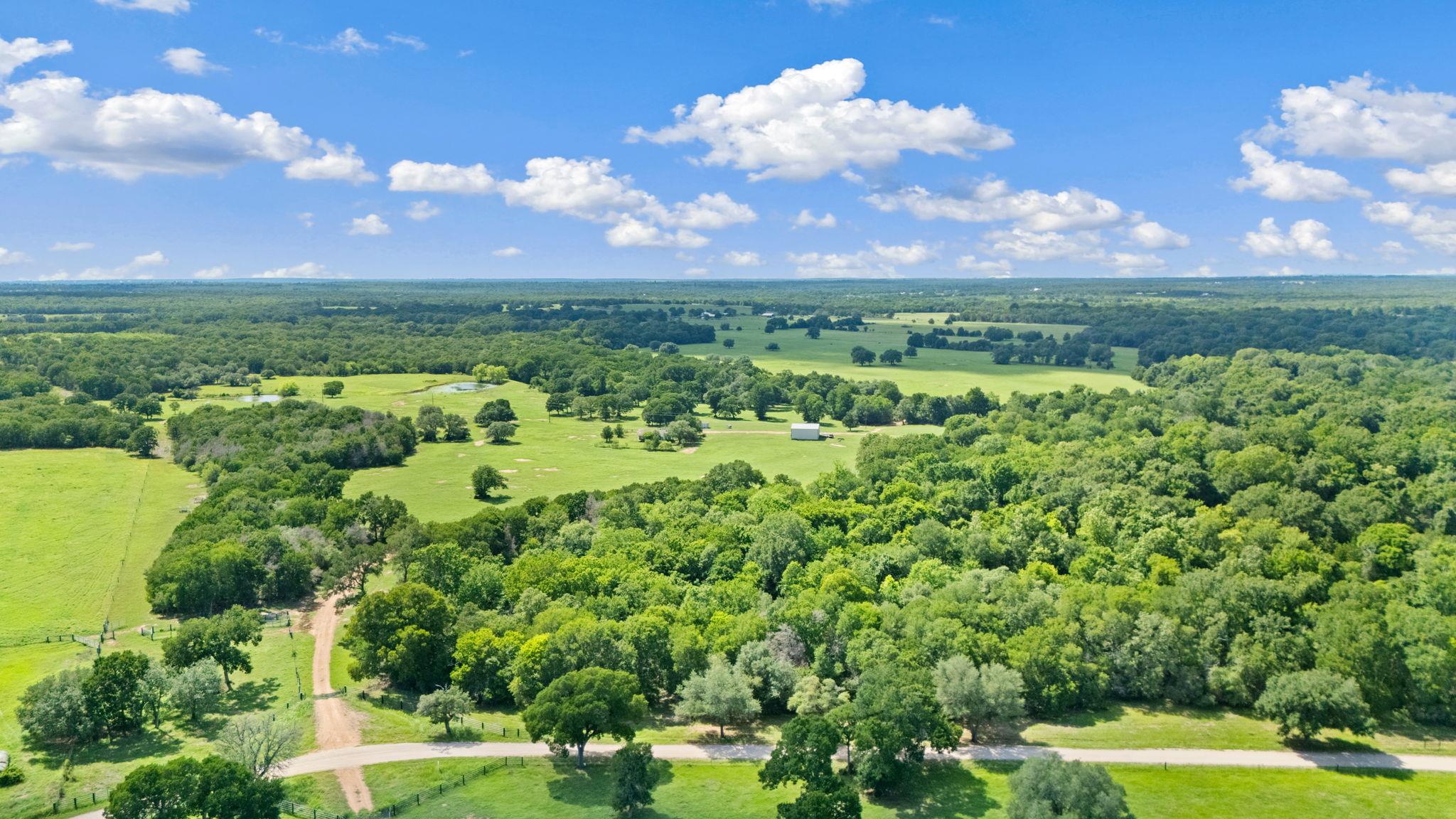 1010 Saint Delight, Paige, TX 78659 — photo 1