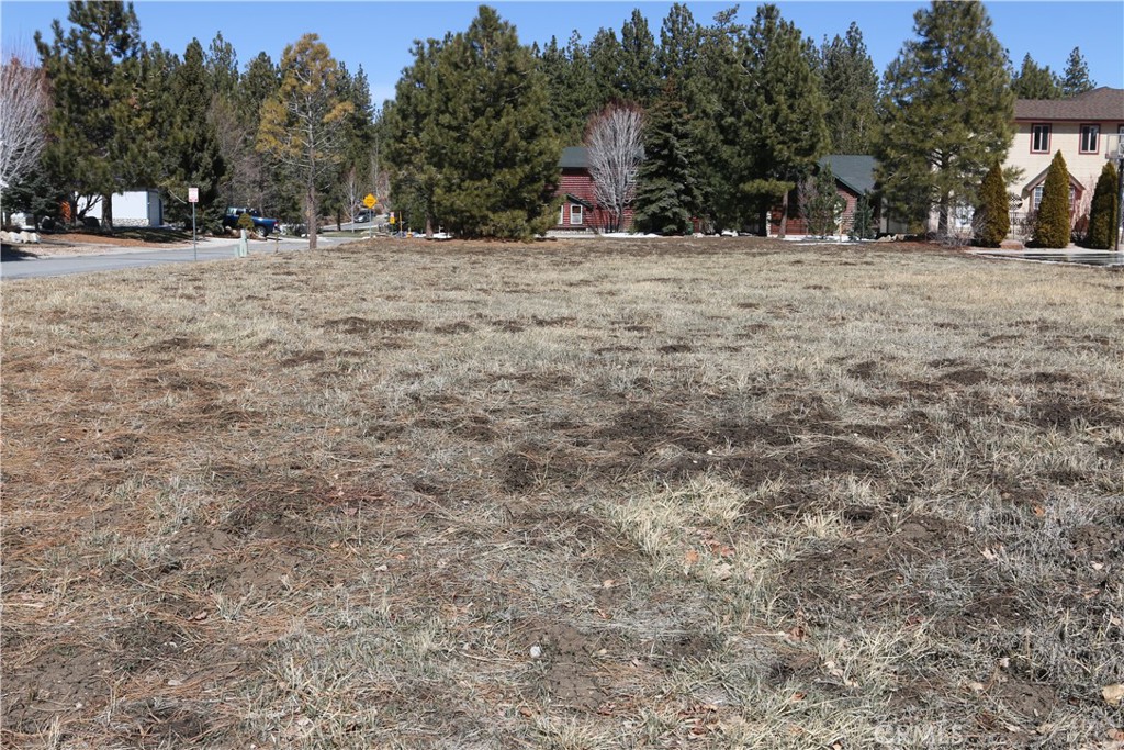 275 Meadow Circle N, Big Bear Lake, CA 92315 — photo 1