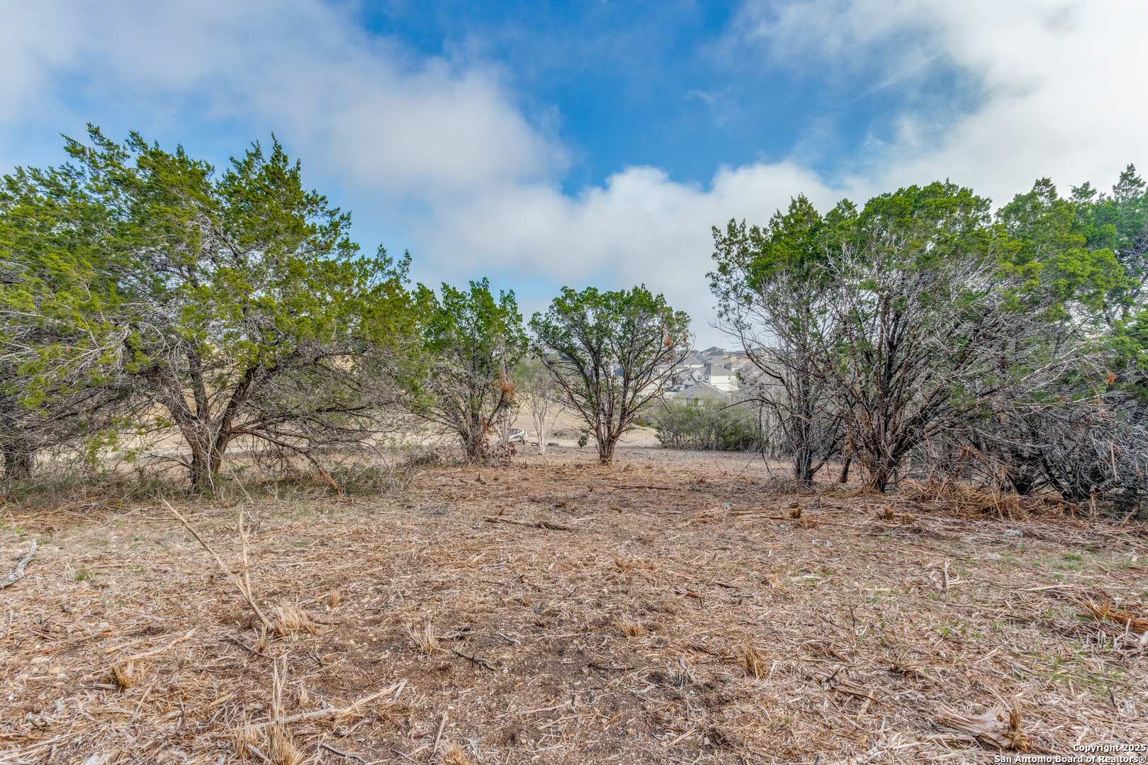 017 Wesp Way, Live Oak, TX 78233 — photo 1