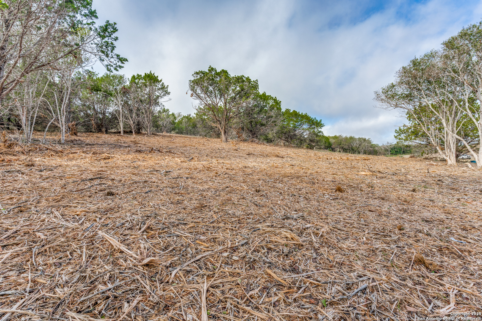 015 Wesp Way, Live Oak, TX 78233 — photo 1