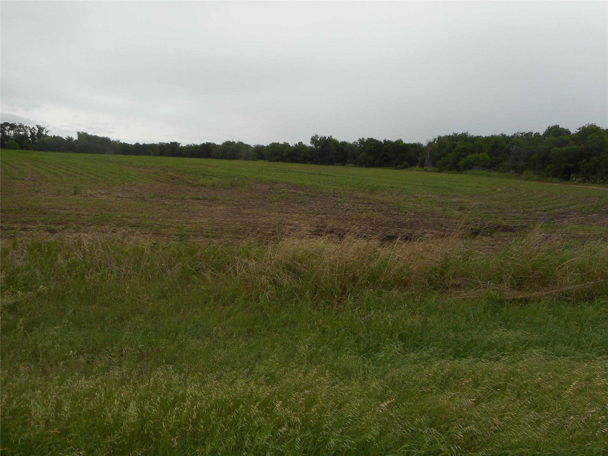 TBD Fm 619, Taylor, TX 76574 — photo 1
