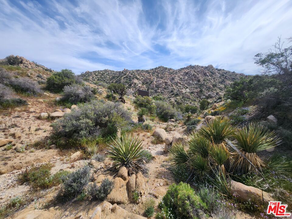 20 W Omega Trail, Yucca Valley, CA 92286 — photo 1