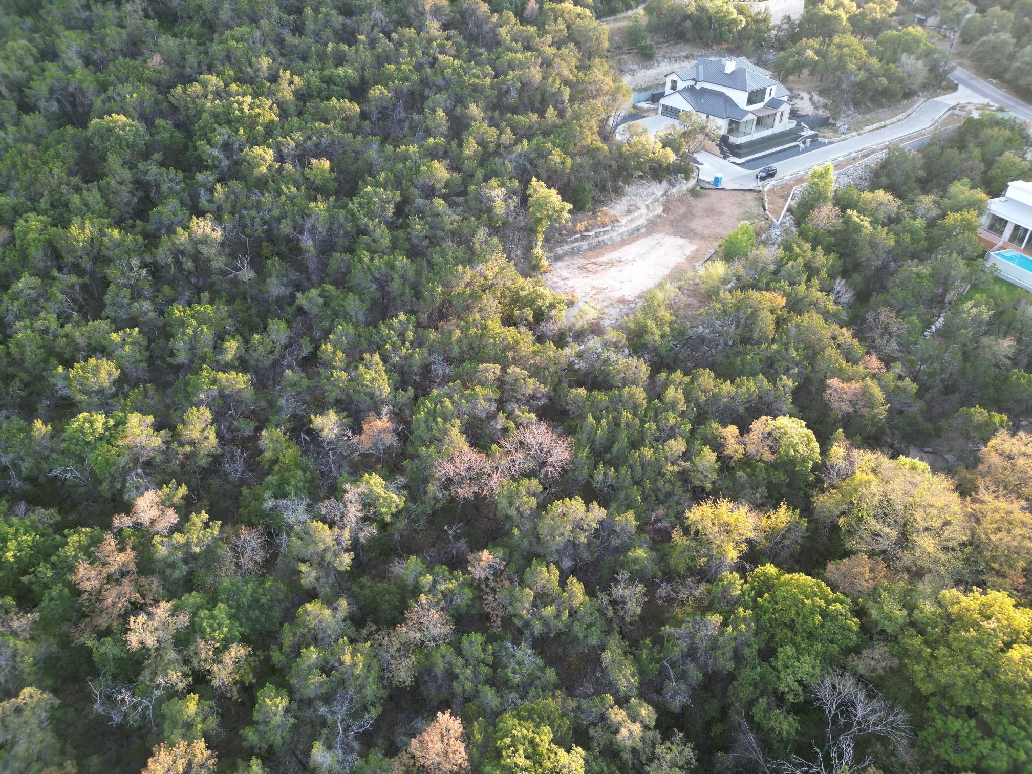 2701  Toro Canyon Rd  #C, Austin, TX 78746 — photo 1