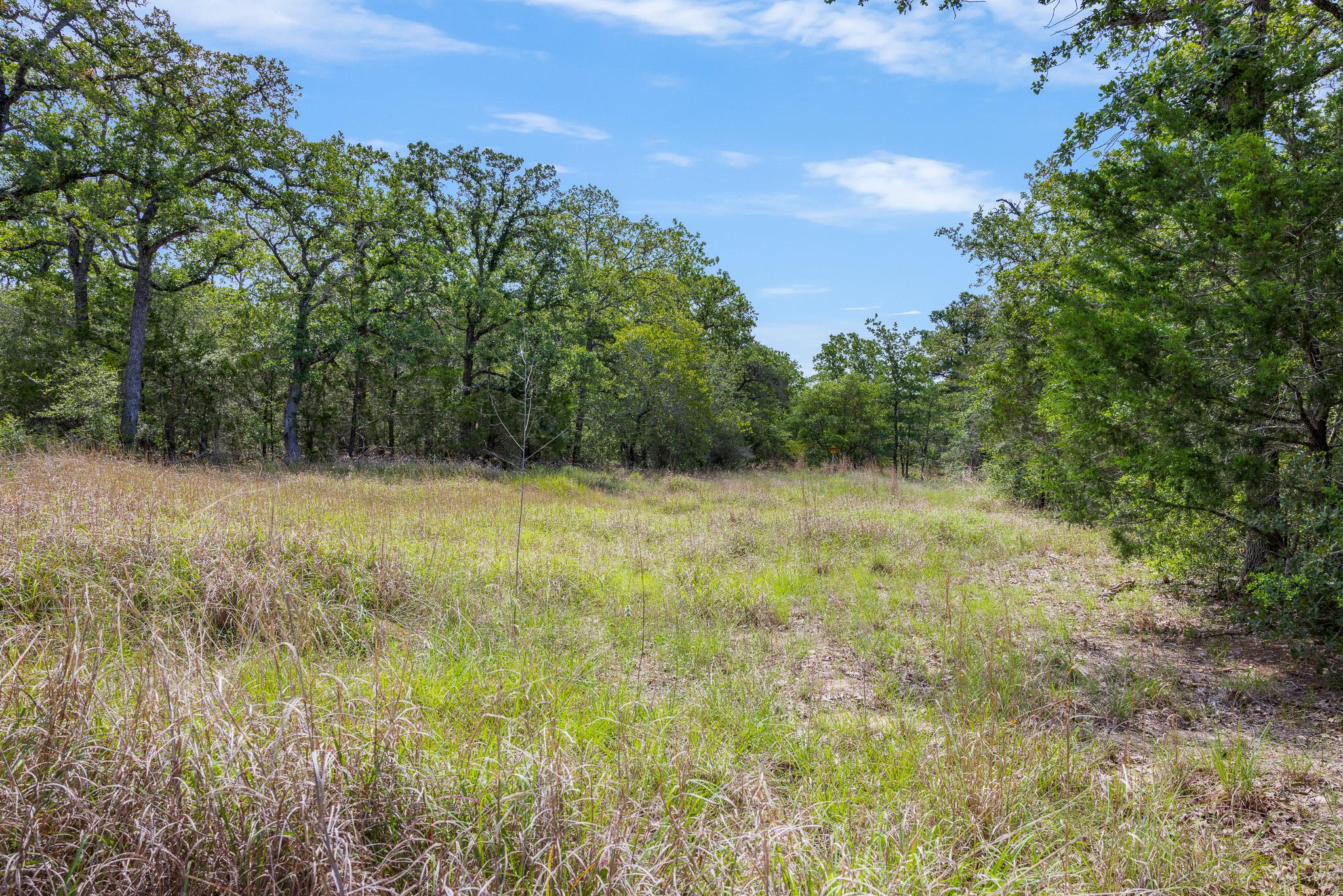 TBD  Anders-Daniels Rd, La Grange, TX 78945 — photo 1