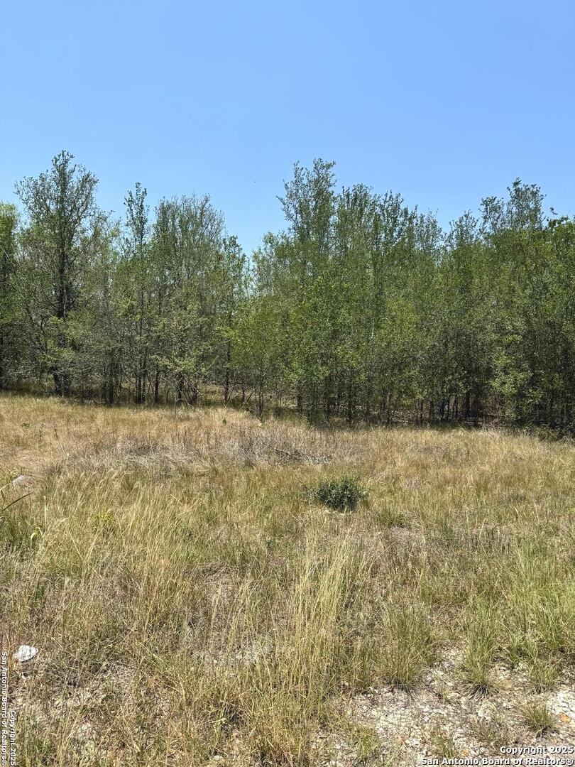325 County Ave., Sutherland Springs, TX 78161 — photo 1