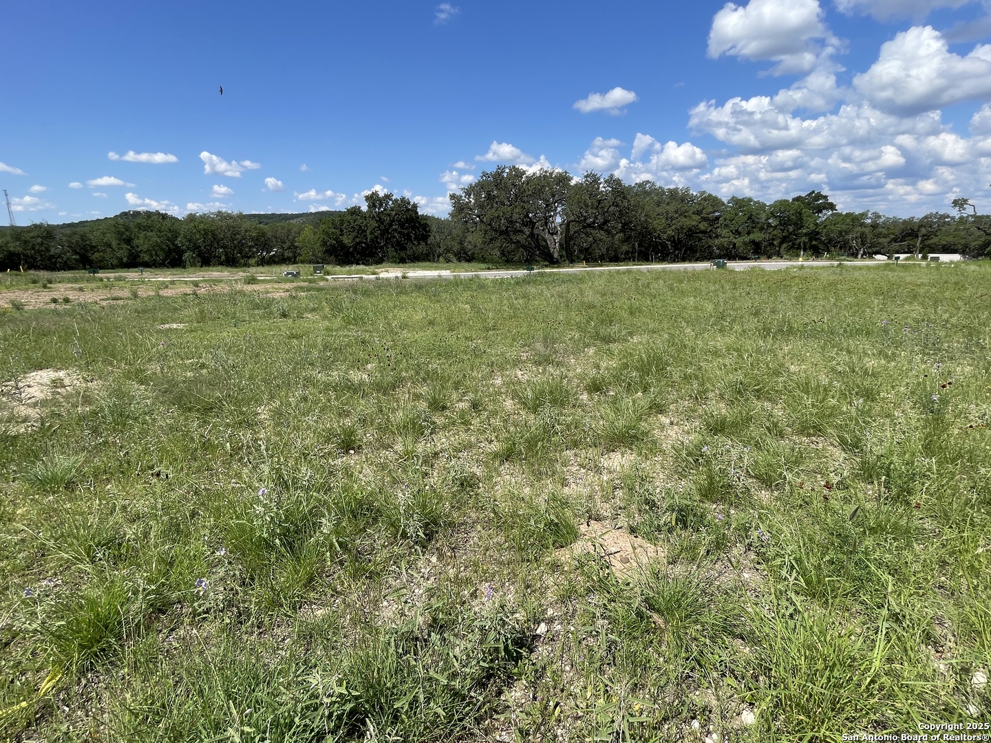 23634 Cliff Line, San Antonio, TX 78257 — photo 1