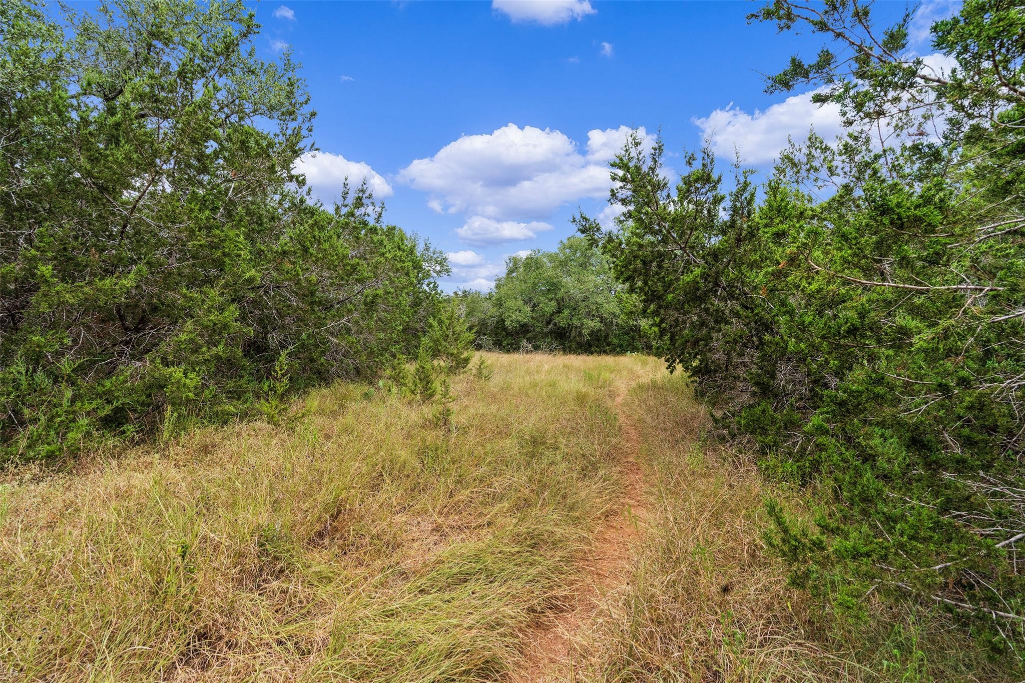 TBD Escarpment, Austin, TX 78739 — photo 1