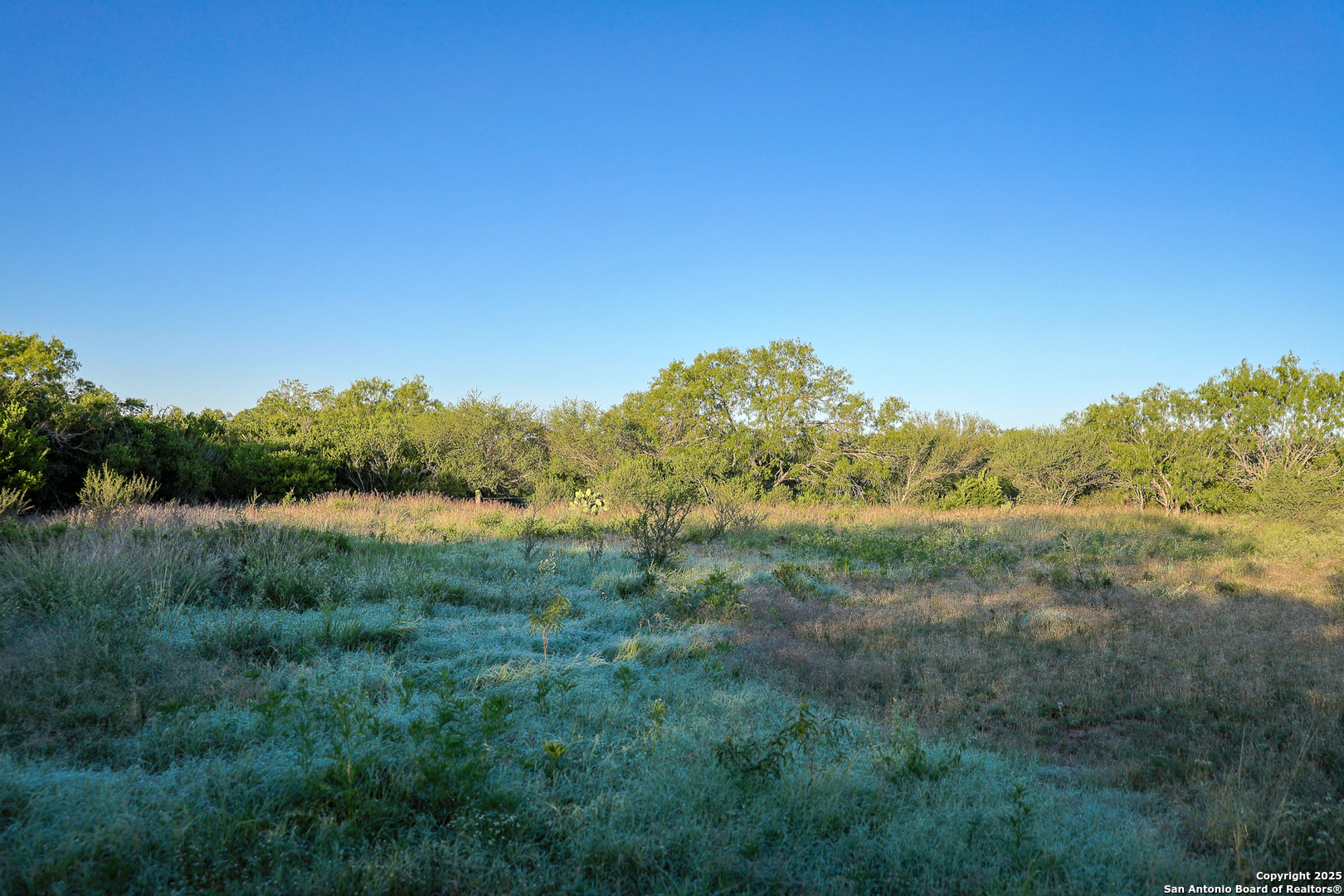 000 County Line Rd # 120, Beeville, TX 78102 — photo 1