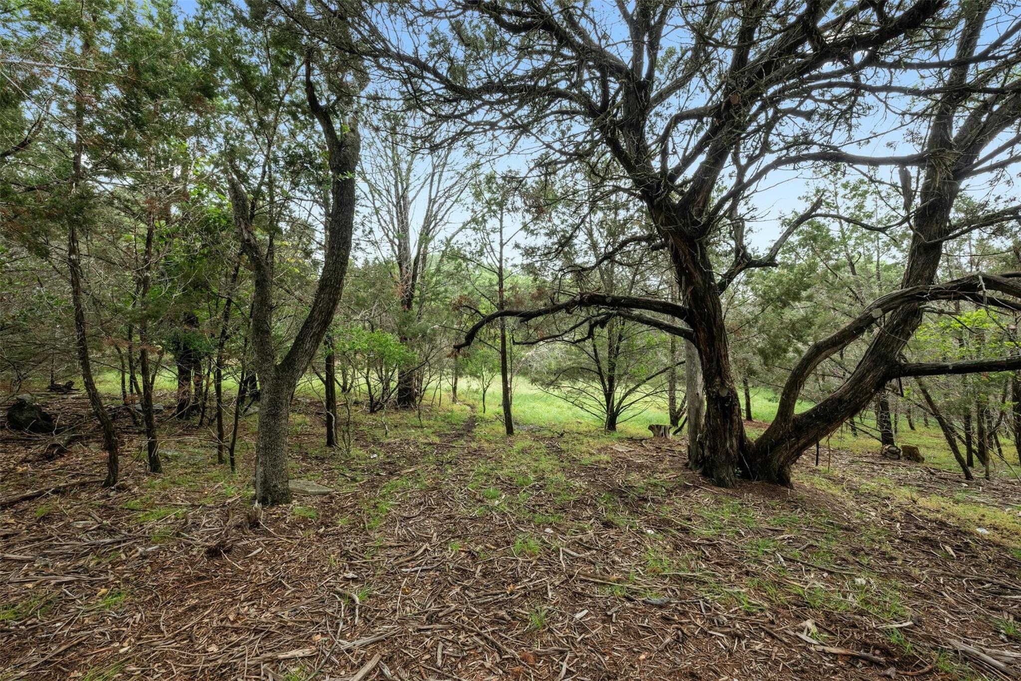 1005 Covered Bridge, Driftwood, TX 78619 — photo 1
