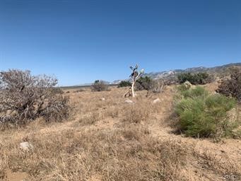 0 Emerald, Lucerne Valley, CA 92356 — photo 1